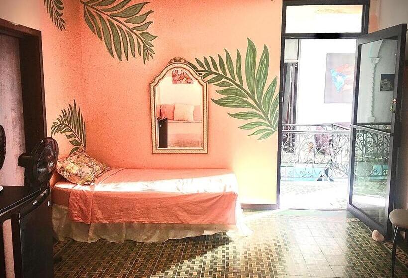 خانه 1 خوابه, Medusa's Hostel