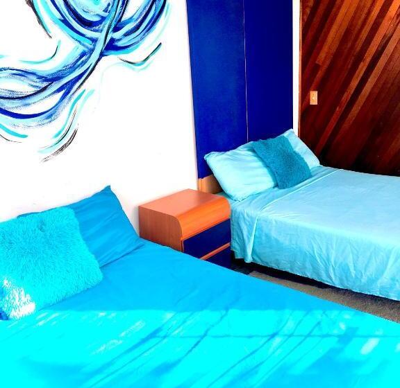 خانه 1 خوابه, Medusa's Hostel