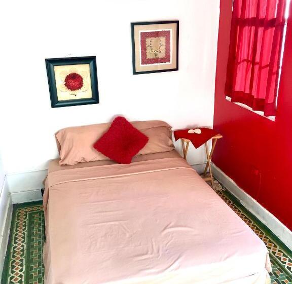 خانه 1 خوابه, Medusa's Hostel