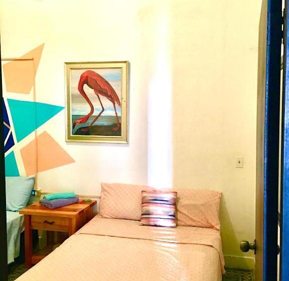 خانه 1 خوابه, Medusa's Hostel