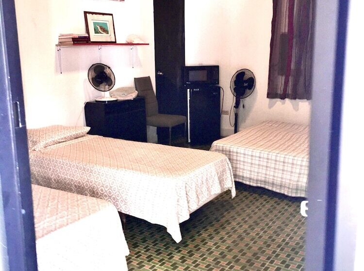 خانه 1 خوابه, Medusa's Hostel