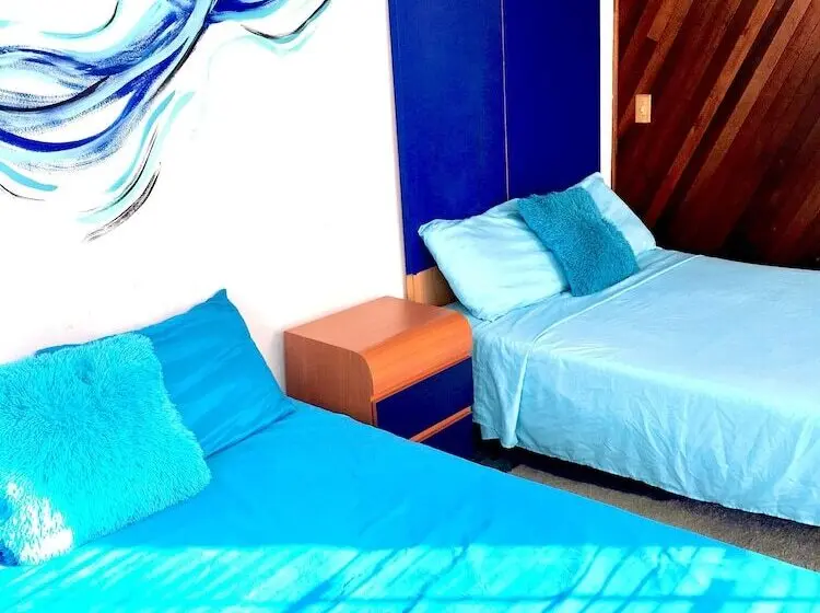 خانه 1 خوابه, Medusa's Hostel