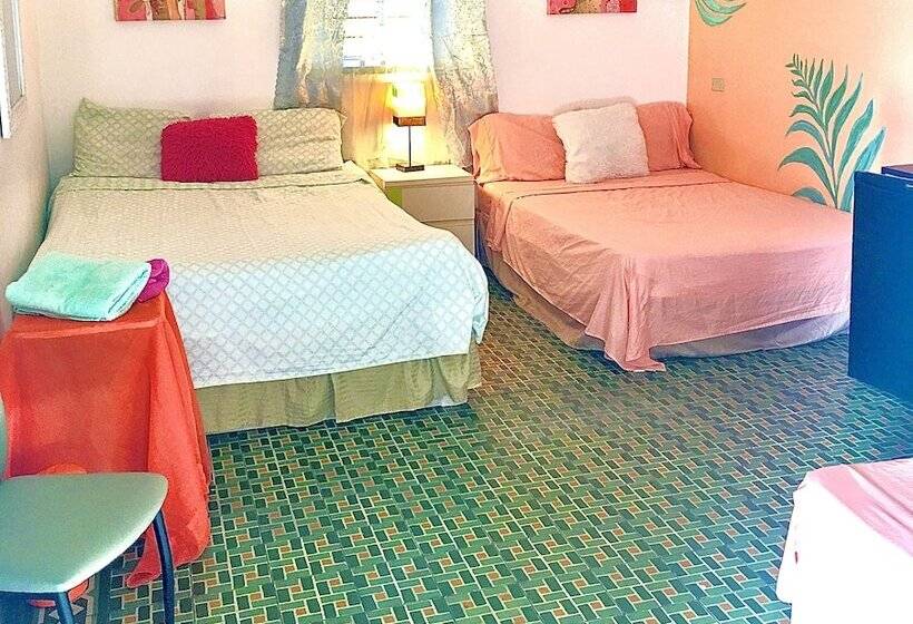 اتاق استاندارد سه نفره, Medusa's Hostel