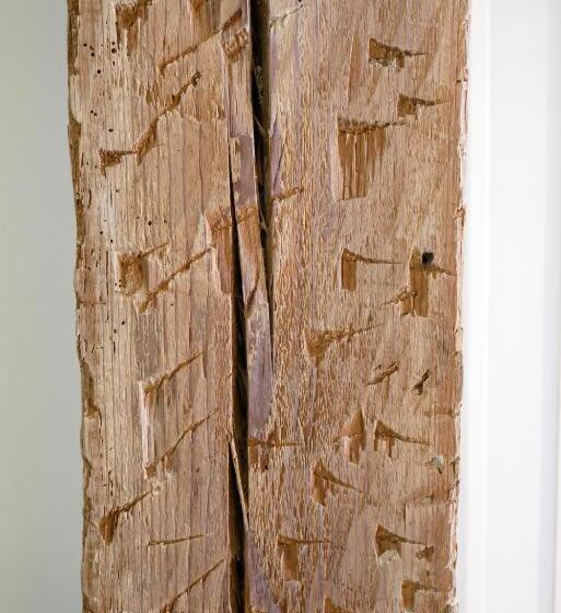 اتاق لوکس, Art Burgos