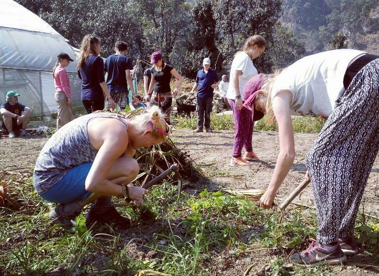 Habitació Familiar Vista Muntanya, Silent Valley  Alchauna Kumaoni House Along River Kalsa
