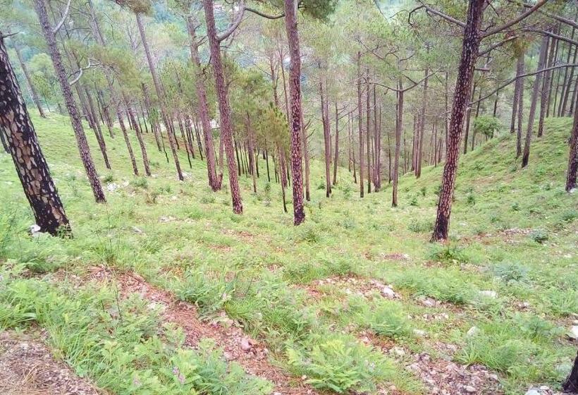 Habitació Familiar Vista Muntanya, Silent Valley  Alchauna Kumaoni House Along River Kalsa