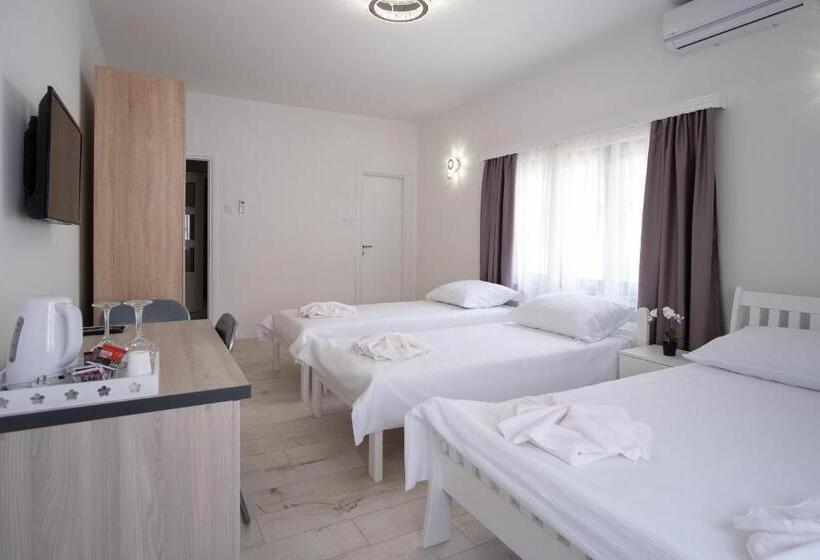 آپارتمان 1 خوابه, Apartmani Vila Kosa