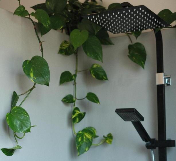 스탠다드 룸 공동 욕실, Villa Sayulita Surfhouse