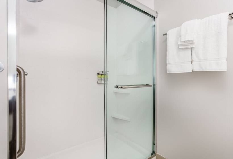 스탠다드 룸, Holiday Inn Express & Suites   Ottawa, An Ihg