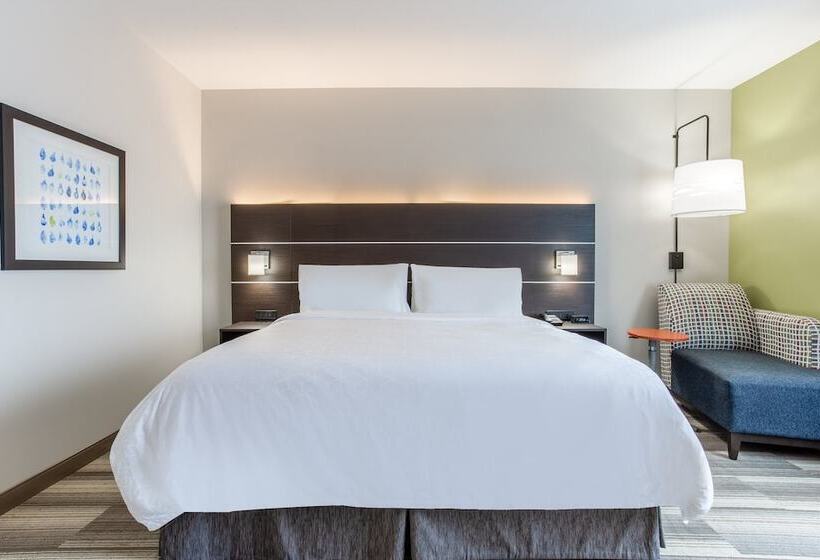 スタンダードルーム, Holiday Inn Express & Suites   Ottawa, An Ihg