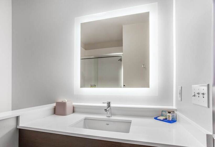 スタンダードルーム, Holiday Inn Express & Suites   Ottawa, An Ihg