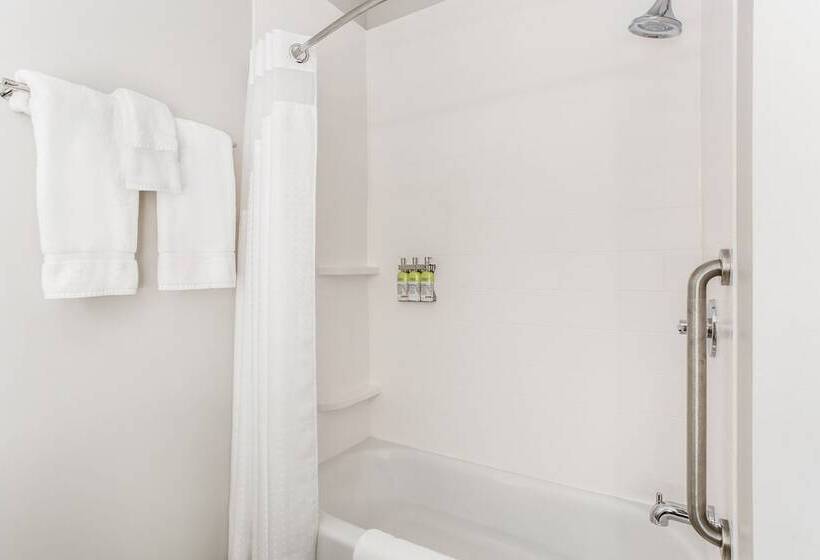 スイート, Holiday Inn Express & Suites   Ottawa, An Ihg