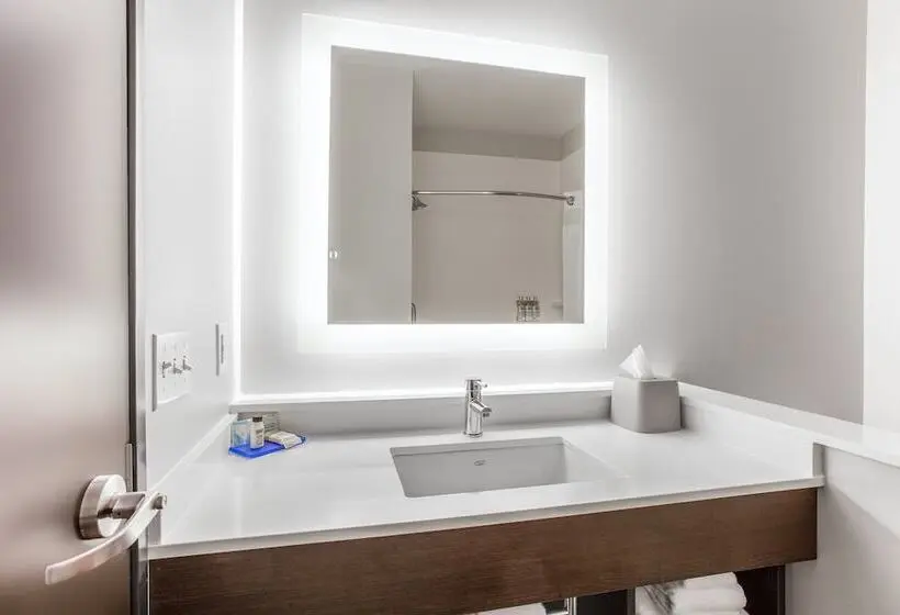 スイート, Holiday Inn Express & Suites   Ottawa, An Ihg