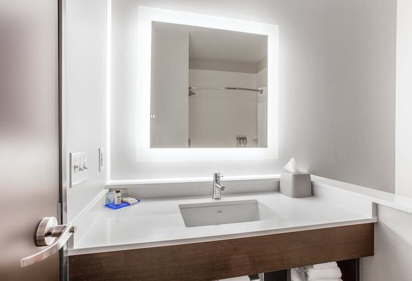 身障者適用スイートルーム, Holiday Inn Express & Suites   Ottawa, An Ihg