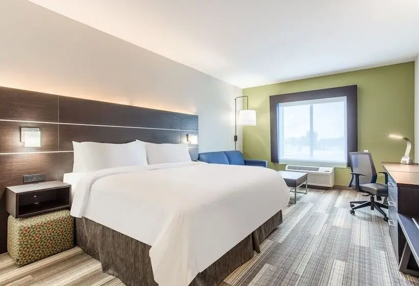 身障者適用スイートルーム, Holiday Inn Express & Suites   Ottawa, An Ihg