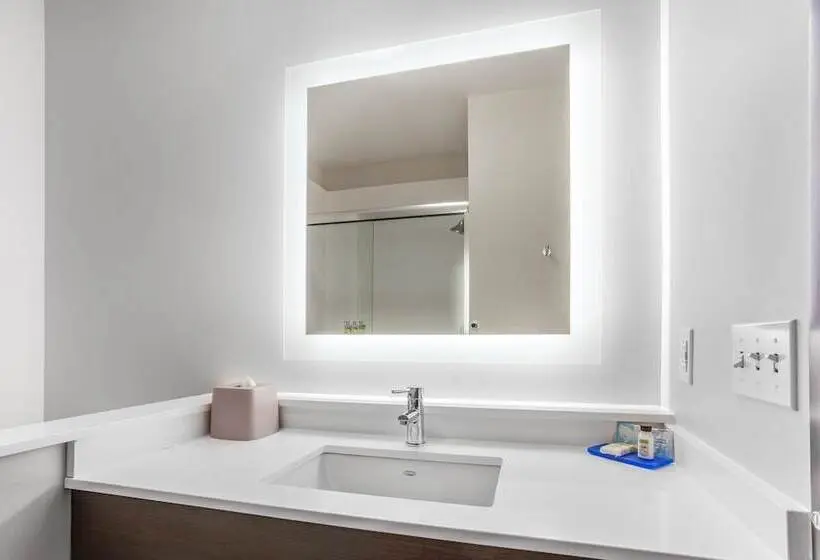 身障者適用スイートルーム, Holiday Inn Express & Suites   Ottawa, An Ihg