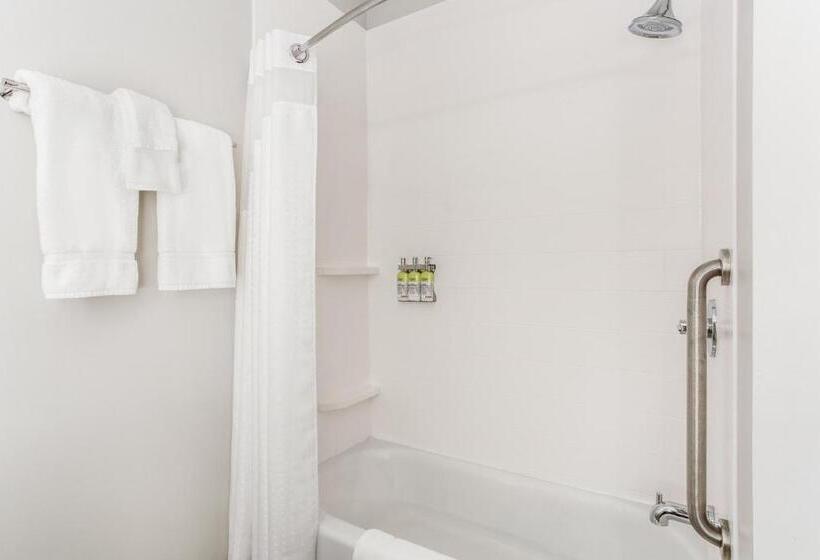 スタンダードルーム, Holiday Inn Express & Suites   Ottawa, An Ihg