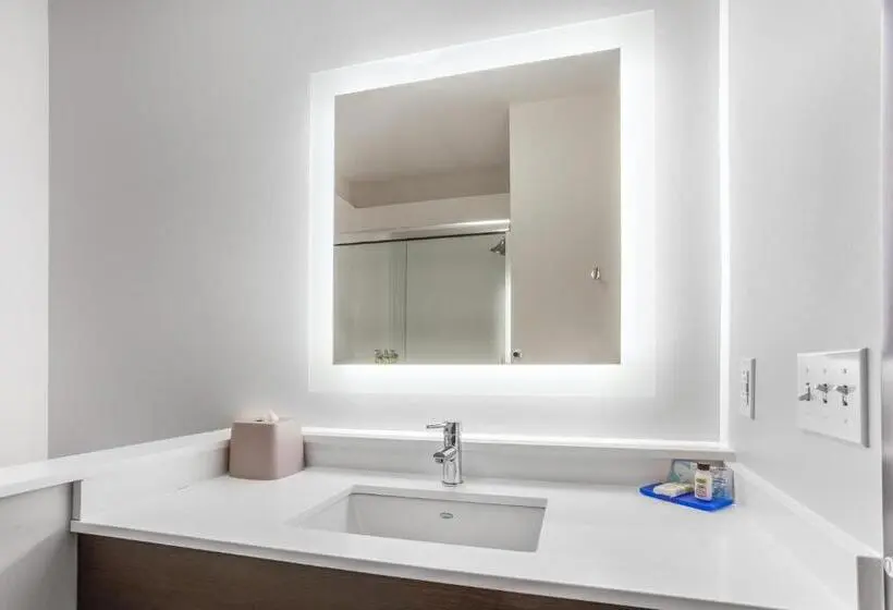 キングサイズベッドのスイートルーム, Holiday Inn Express & Suites   Ottawa, An Ihg