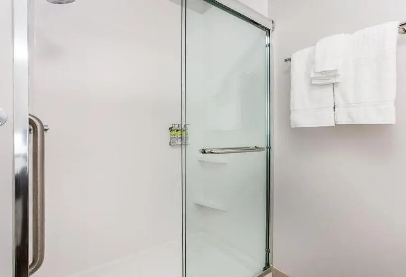 キングサイズベッドのスイートルーム, Holiday Inn Express & Suites   Ottawa, An Ihg