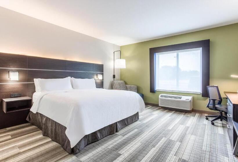 身障者適用キングサイズベッドルーム, Holiday Inn Express & Suites   Ottawa, An Ihg