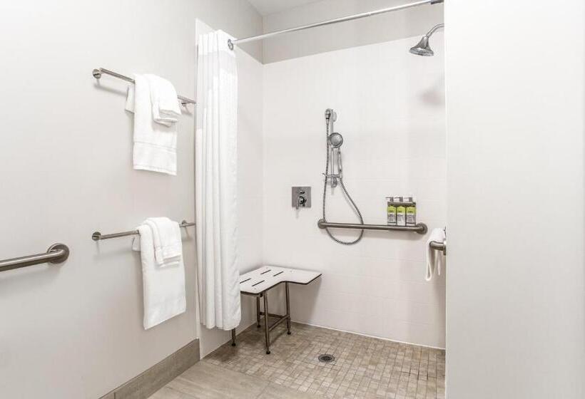 身障者適用キングサイズベッドルーム, Holiday Inn Express & Suites   Ottawa, An Ihg