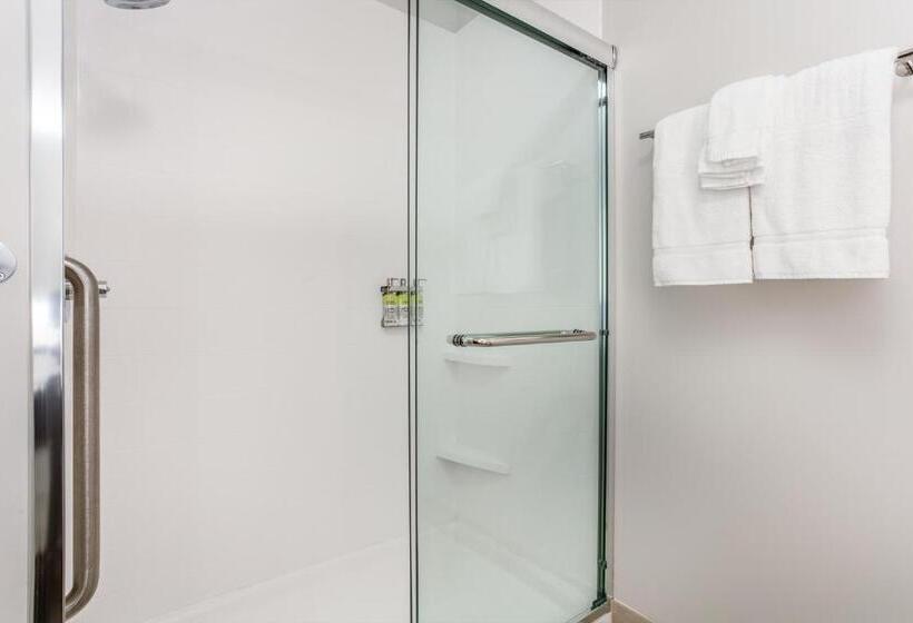 장애인을 위한 킹사이즈 침대 스탠다드 룸, Holiday Inn Express & Suites   Ottawa, An Ihg