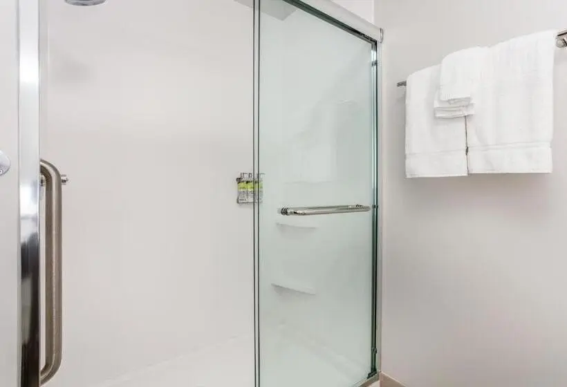 身障者適用キングサイズベッドルーム, Holiday Inn Express & Suites   Ottawa, An Ihg