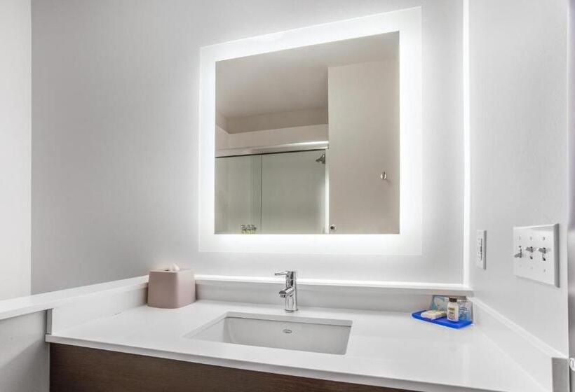 身障者適用キングサイズベッドルーム, Holiday Inn Express & Suites   Ottawa, An Ihg