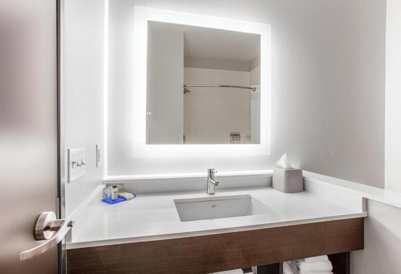 身障者適用キングサイズベッドルーム, Holiday Inn Express & Suites   Ottawa, An Ihg