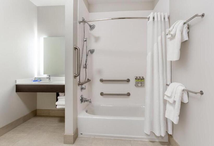 장애인을 위한 킹사이즈 침대 스탠다드 룸, Holiday Inn Express & Suites   Ottawa, An Ihg
