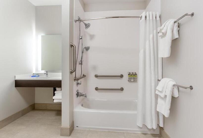 장애인을 위한 스탠다드 룸, Holiday Inn Express & Suites   Ottawa, An Ihg