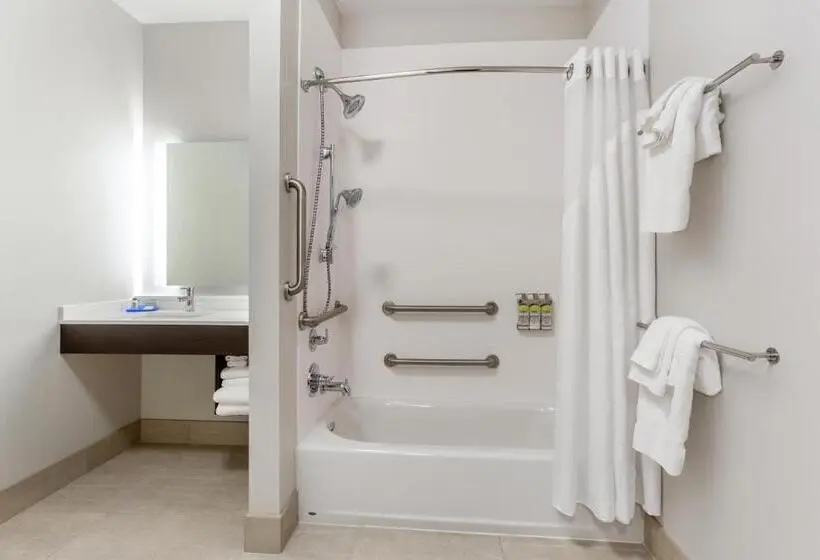 身障者適用スタンダードルーム, Holiday Inn Express & Suites   Ottawa, An Ihg