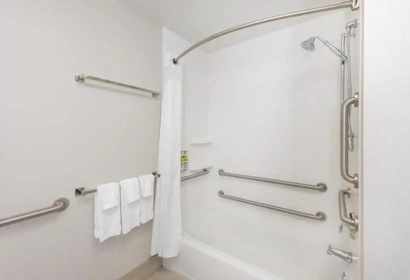 身障者適用スタンダードルーム, Holiday Inn Express & Suites   Ottawa, An Ihg