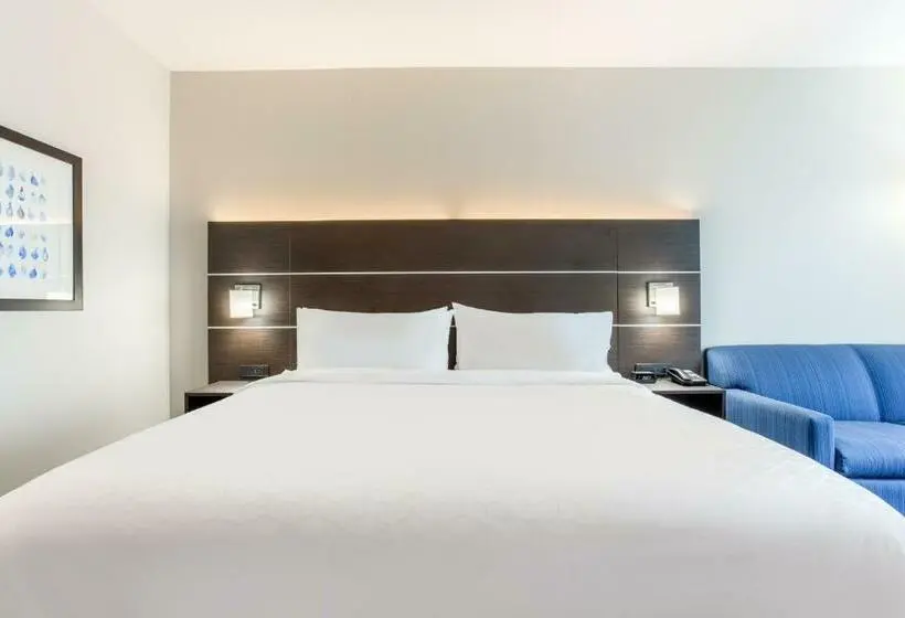 キングサイズベッドのスイートルーム, Holiday Inn Express & Suites   Ottawa, An Ihg