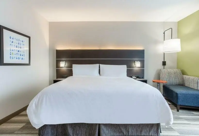 身障者適用キングサイズベッドルーム, Holiday Inn Express & Suites   Ottawa, An Ihg