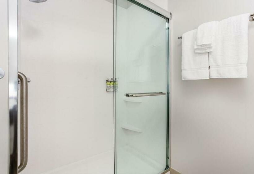 身障者適用スタンダードルーム, Holiday Inn Express & Suites   Ottawa, An Ihg