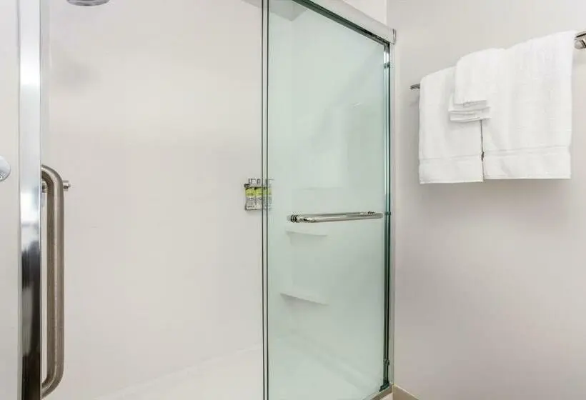 身障者適用スタンダードルーム, Holiday Inn Express & Suites   Ottawa, An Ihg