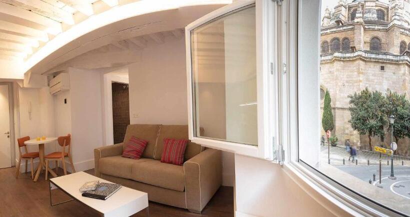 آپارتمان 1 خوابه, Casa Miravalle Catedral