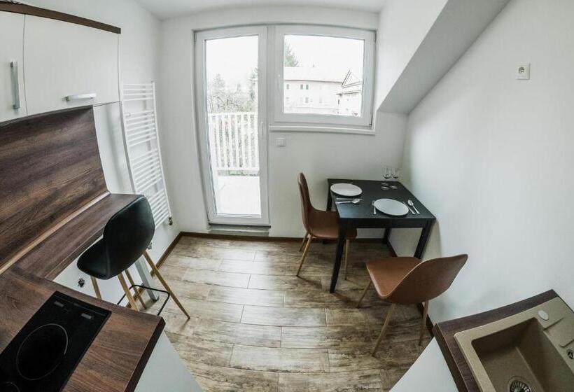 침실 1개 아파트, Villa Centrum Apartmány S Raňajkami A Saunou