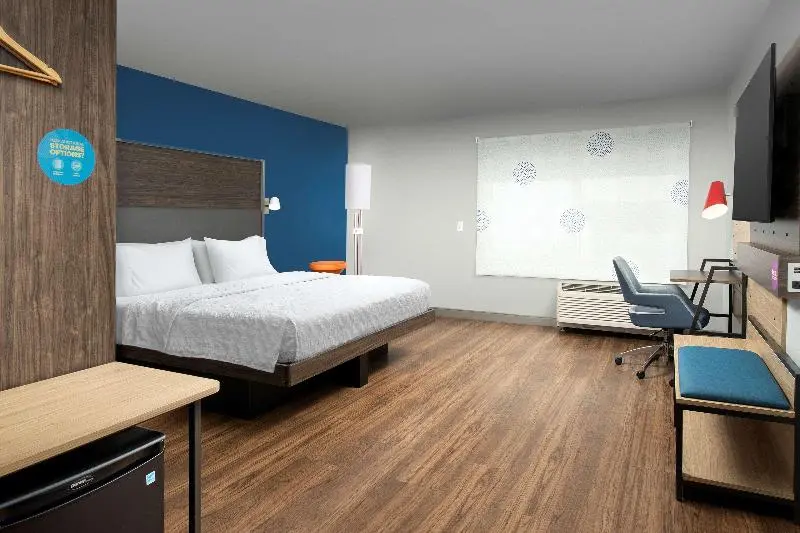 اتاق استاندارد با تخت بزرگ, Tru By Hilton Rapid City Rushmore, Sd