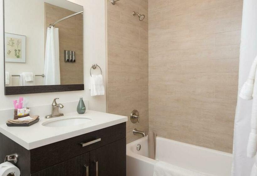 스탠다드 스튜디오 킹침대, Flora And Fauna