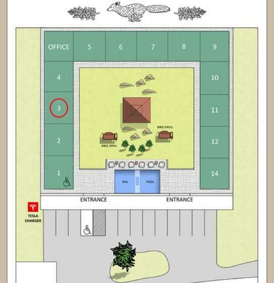 디럭스 스튜디오, Flora And Fauna