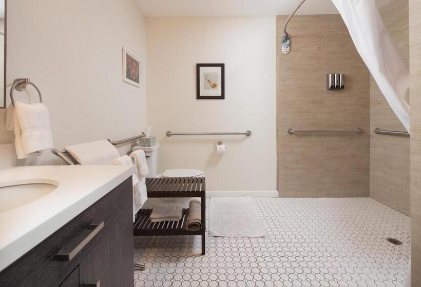 스탠다드 스튜디오 더블 침대, Flora And Fauna