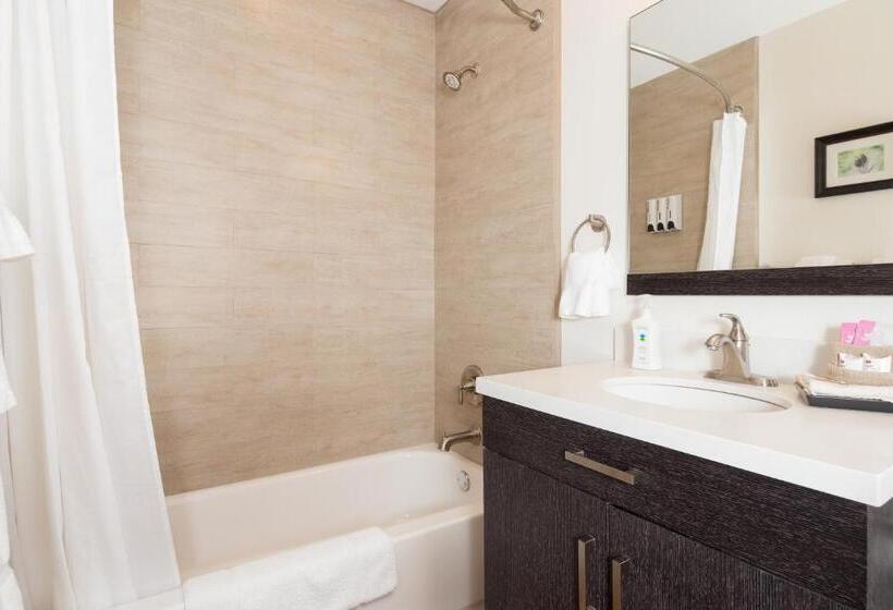 스탠다드 스튜디오 풀장 전망, Flora And Fauna