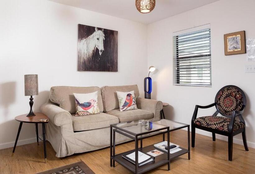 스탠다드 스튜디오 풀장 전망, Flora And Fauna