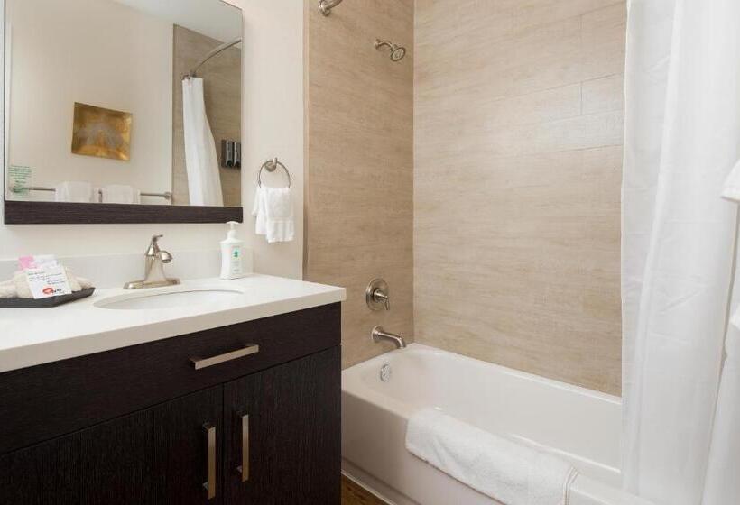 디럭스 스튜디오, Flora And Fauna