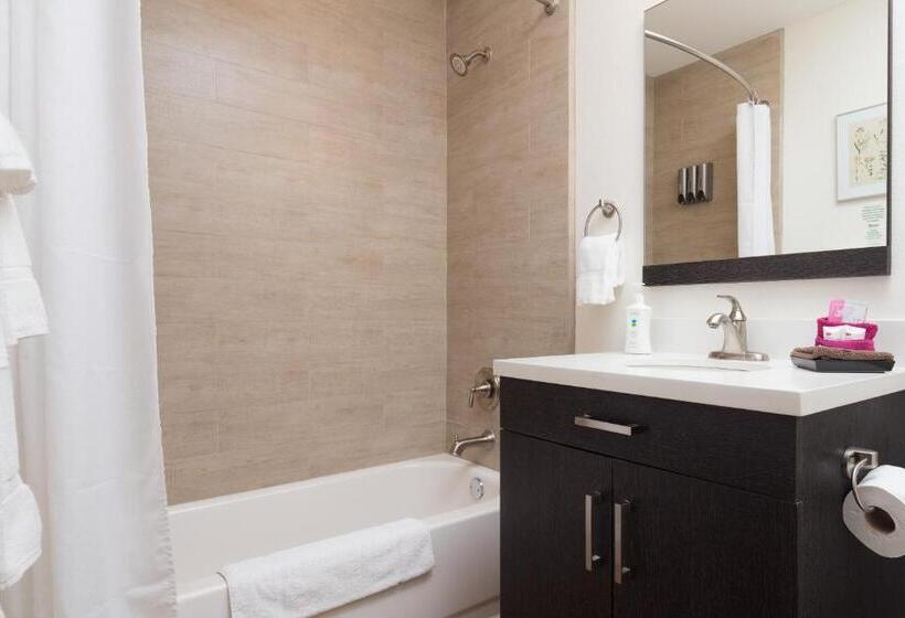 스탠다드 스튜디오 정원 전망, Flora And Fauna