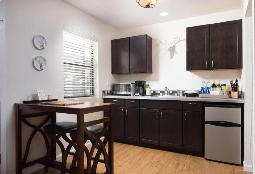 스탠다드 스튜디오 정원 전망, Flora And Fauna