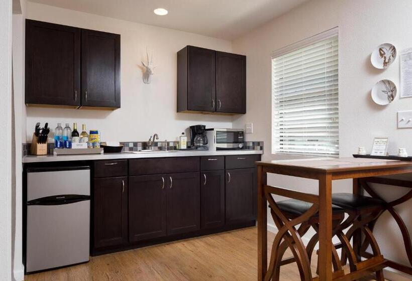 스탠다드 스튜디오 킹침대, Flora And Fauna