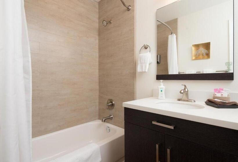 디럭스 스튜디오, Flora And Fauna